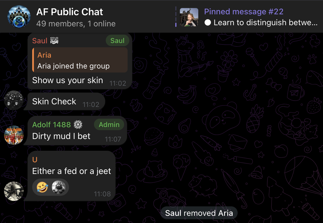 AF Public Chat — new member Aria asked to 'show your skin'. Admin Adolf 1488 responds: 'Dirty mud I bet'